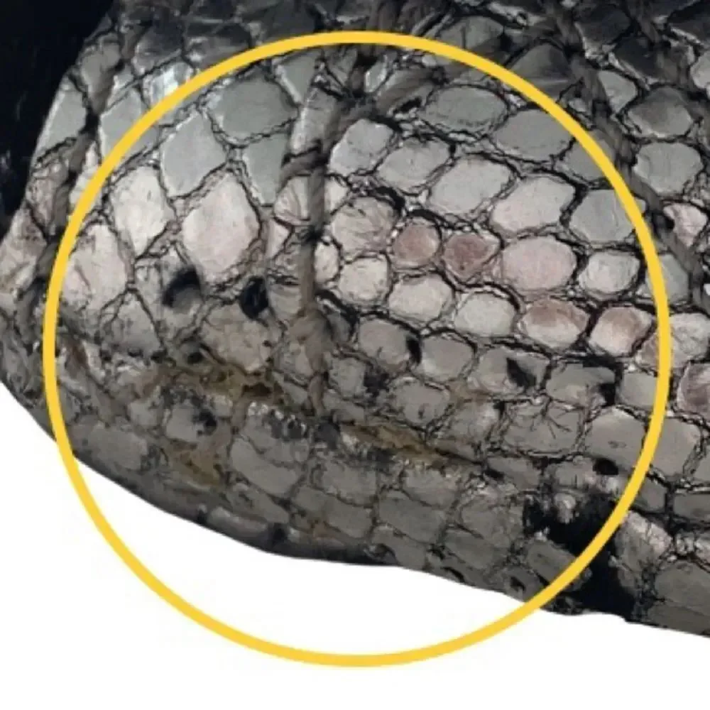 Marc Jacobs Quilted Leather Snakeskin Animal Print Embossed Studded Silver Bag
